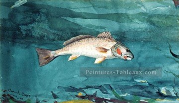 pittore - Manche basse réalisme marine peintre Winslow Homer